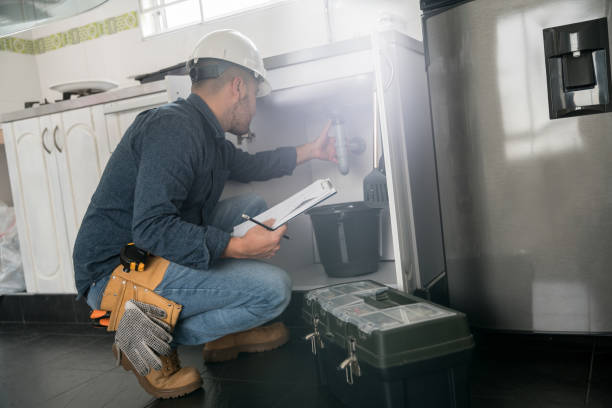 Best Local Plumber Services  in Roseville, MN