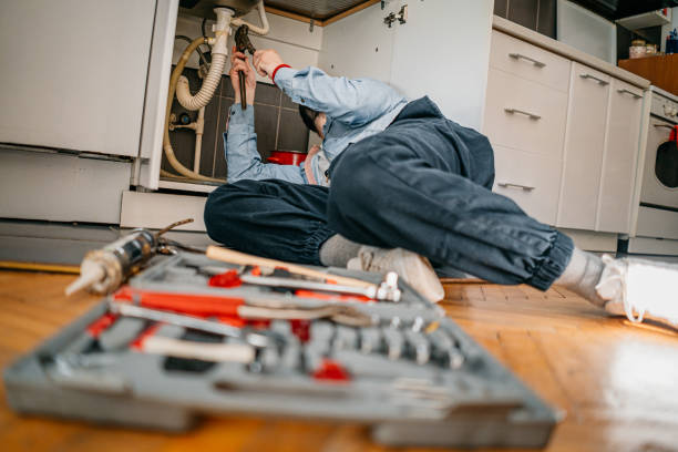 Best Shower Repair Services  in Roseville, MN