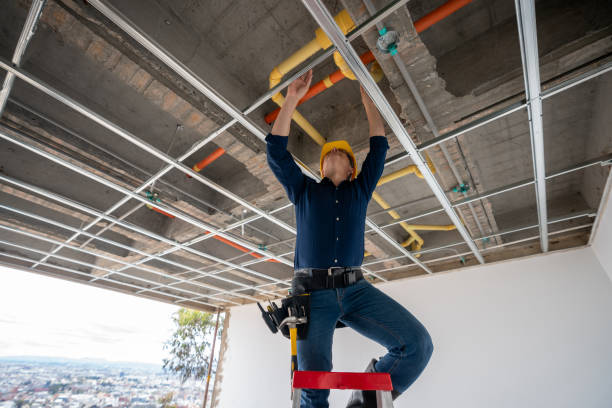 Best Affordable Plumbing Services  in Roseville, MN