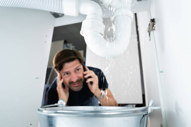 Best Residential Plumbing Services  in Roseville, MN