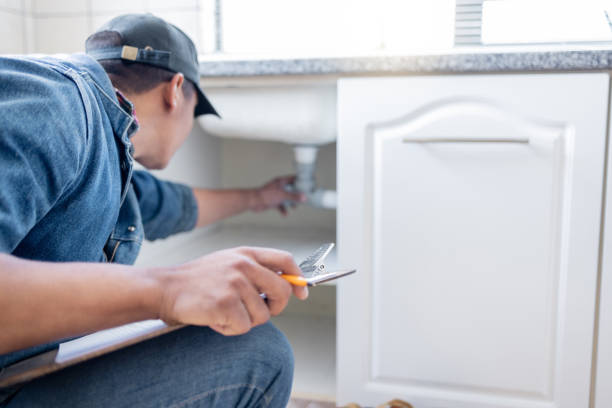 Best Plumbing Repair Near Me  in Roseville, MN