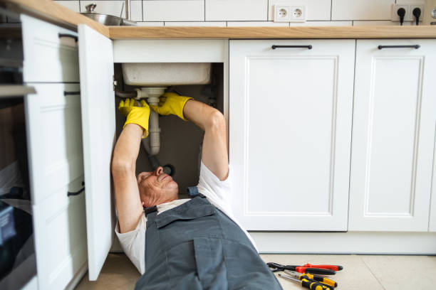 Best Water Leak Repair  in Roseville, MN