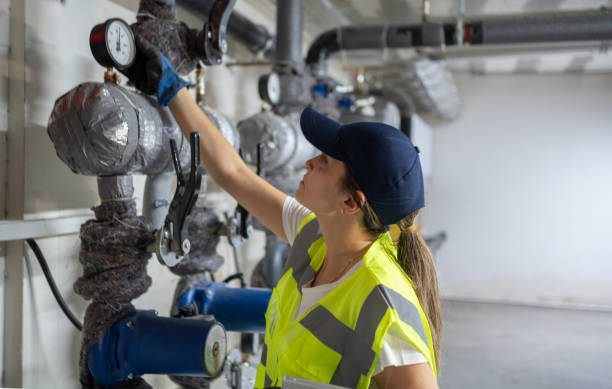 Best Water Heater Repair  in Roseville, MN