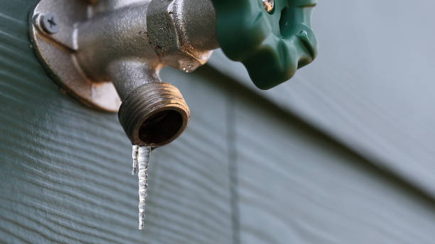 Best Same-Day Plumbing Service  in Roseville, MN