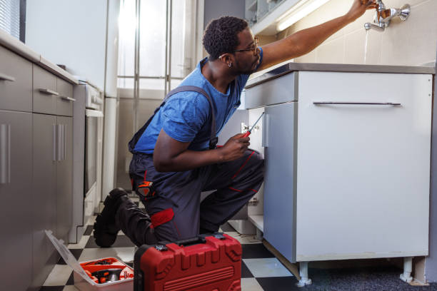 Best Sprinkler Systems  in Roseville, MN