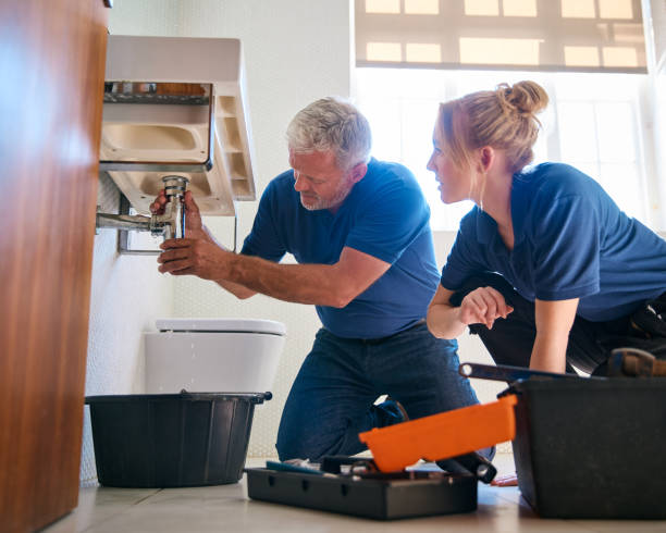 Best Plumbing Services Near Me  in Roseville, MN