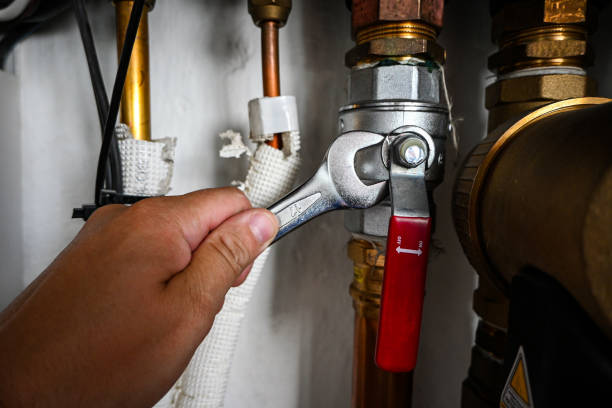 Best Leak Detection Services  in Roseville, MN